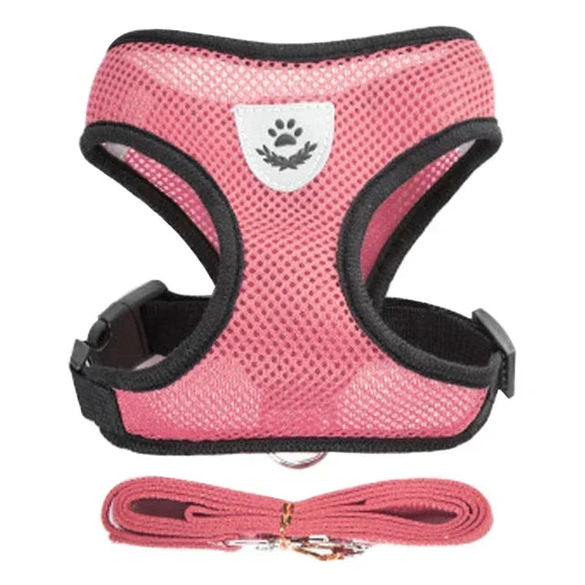 Adjustable Cat Harness & Leash Set – Escape-Proof Soft Mesh Vest for Indoor & Outdoor Walking (XS–L)