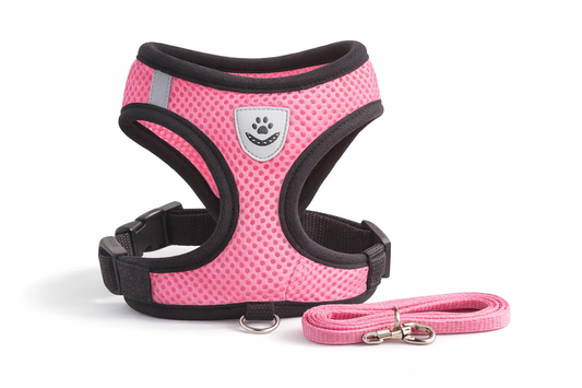 Adjustable Cat Harness & Leash Set – Escape-Proof Soft Mesh Vest for Indoor & Outdoor Walking (XS–L)