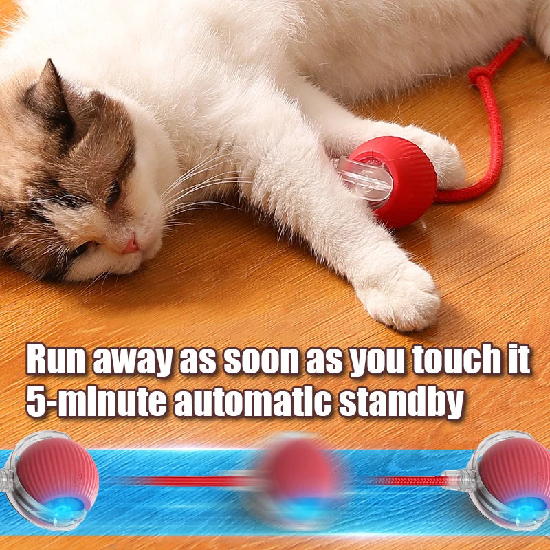 Smart Interactive Cat Toy Ball – Automatic Rolling Teaser with Tail, Rechargeable USB Cat Exercise Toy