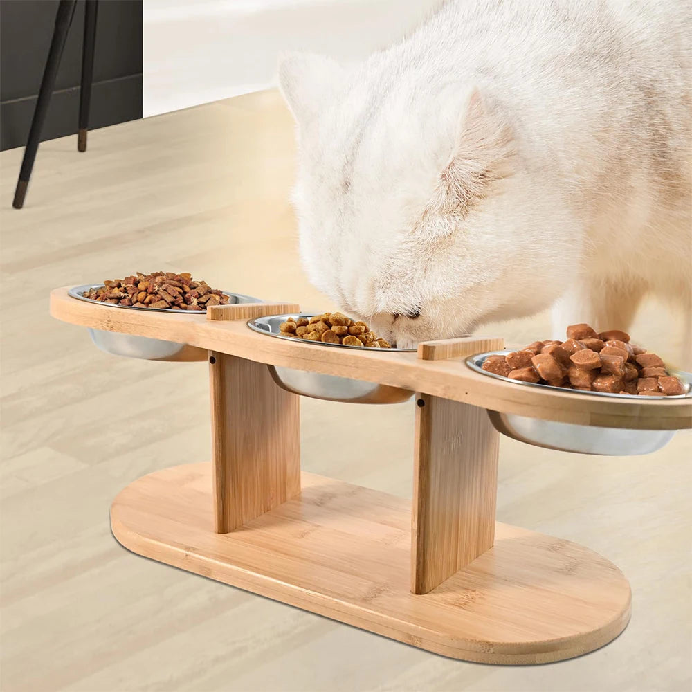 Raised Cat Bowl Set – 15° Tilted Elevated Feeding Station with 3 Stainless Steel Bowls