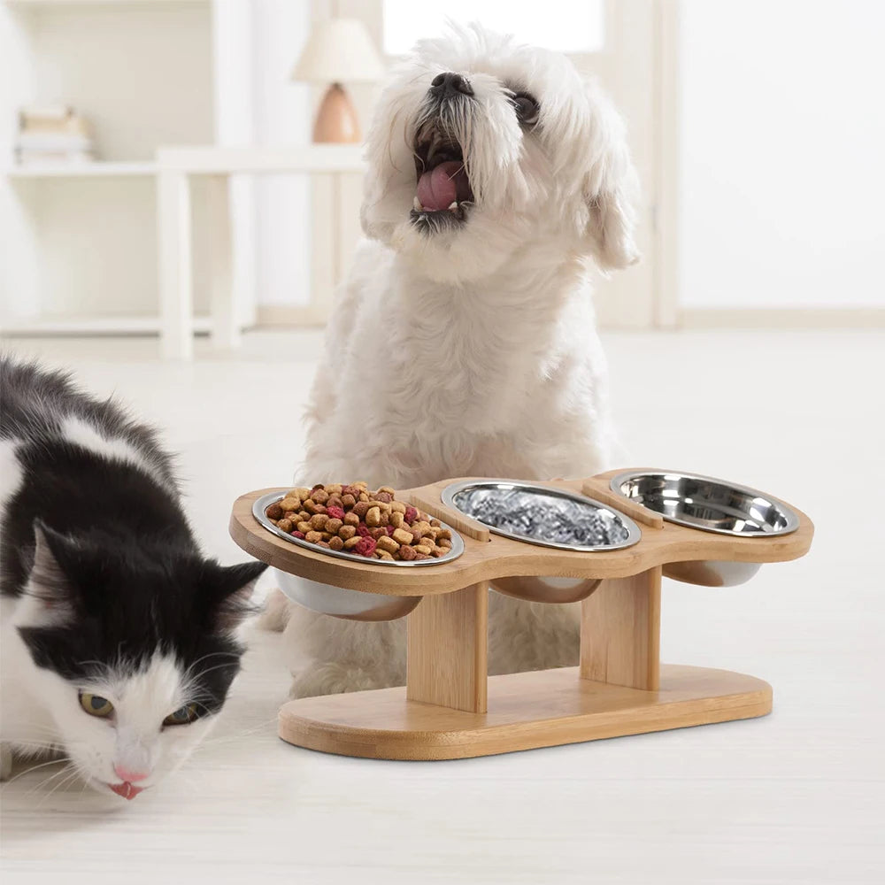 Raised Cat Bowl Set – 15° Tilted Elevated Feeding Station with 3 Stainless Steel Bowls