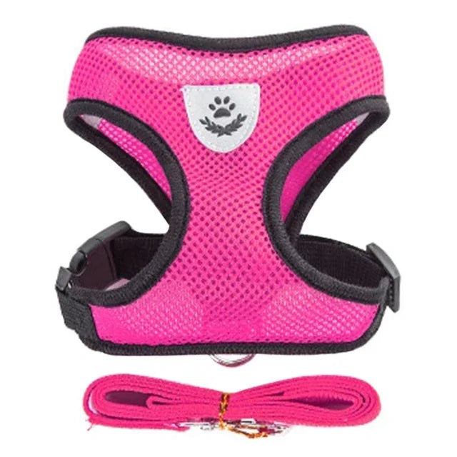 Adjustable Cat Harness & Leash Set – Escape-Proof Soft Mesh Vest for Indoor & Outdoor Walking (XS–L)