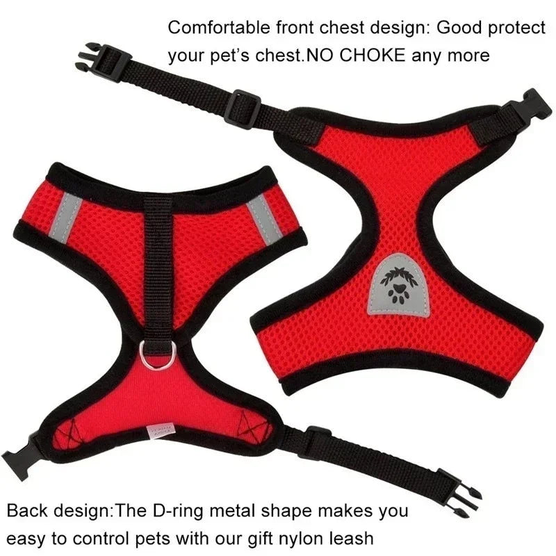 Adjustable Cat Harness & Leash Set – Escape-Proof Soft Mesh Vest for Indoor & Outdoor Walking (XS–L)