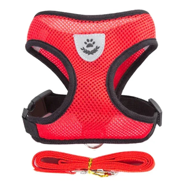 Adjustable Cat Harness & Leash Set – Escape-Proof Soft Mesh Vest for Indoor & Outdoor Walking (XS–L)