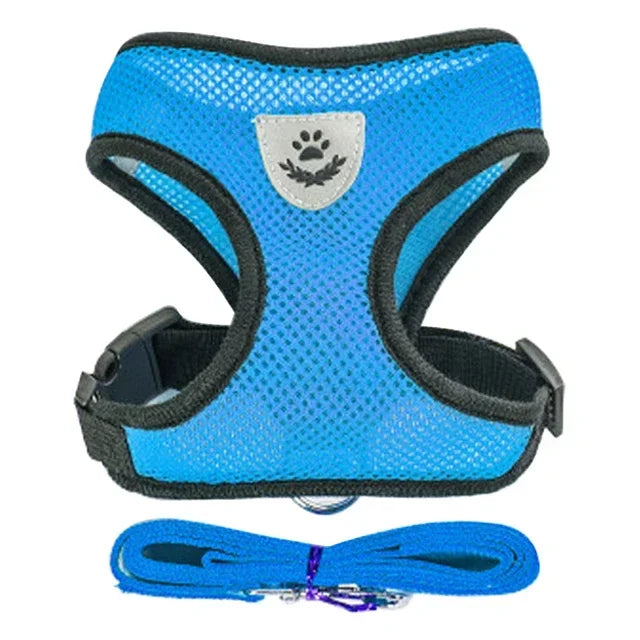 Adjustable Cat Harness & Leash Set – Escape-Proof Soft Mesh Vest for Indoor & Outdoor Walking (XS–L)