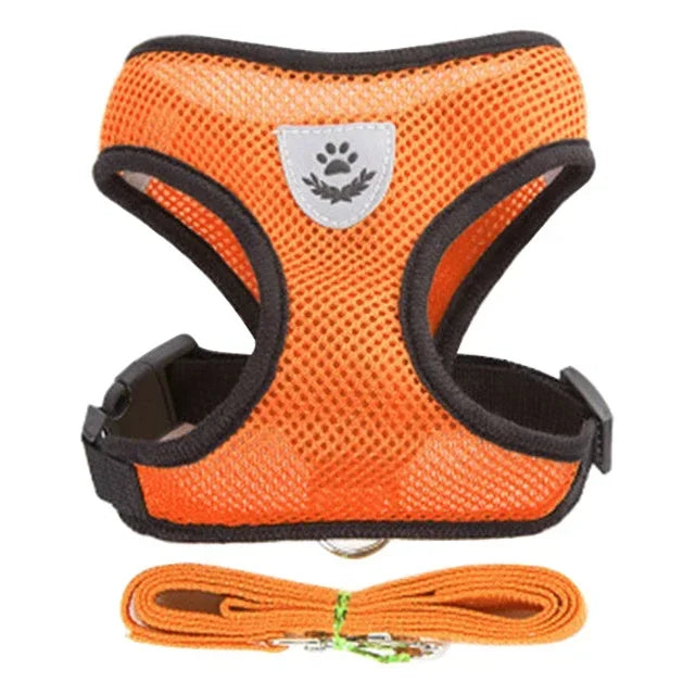 Adjustable Cat Harness & Leash Set – Escape-Proof Soft Mesh Vest for Indoor & Outdoor Walking (XS–L)