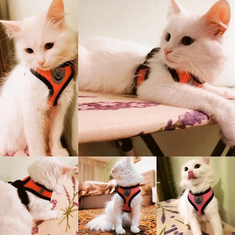 Adjustable Cat Harness & Leash Set – Escape-Proof Soft Mesh Vest for Indoor & Outdoor Walking (XS–L)